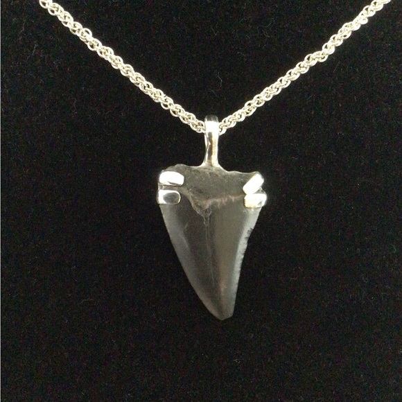 Meet your Posher, James - Picture 5 of 5